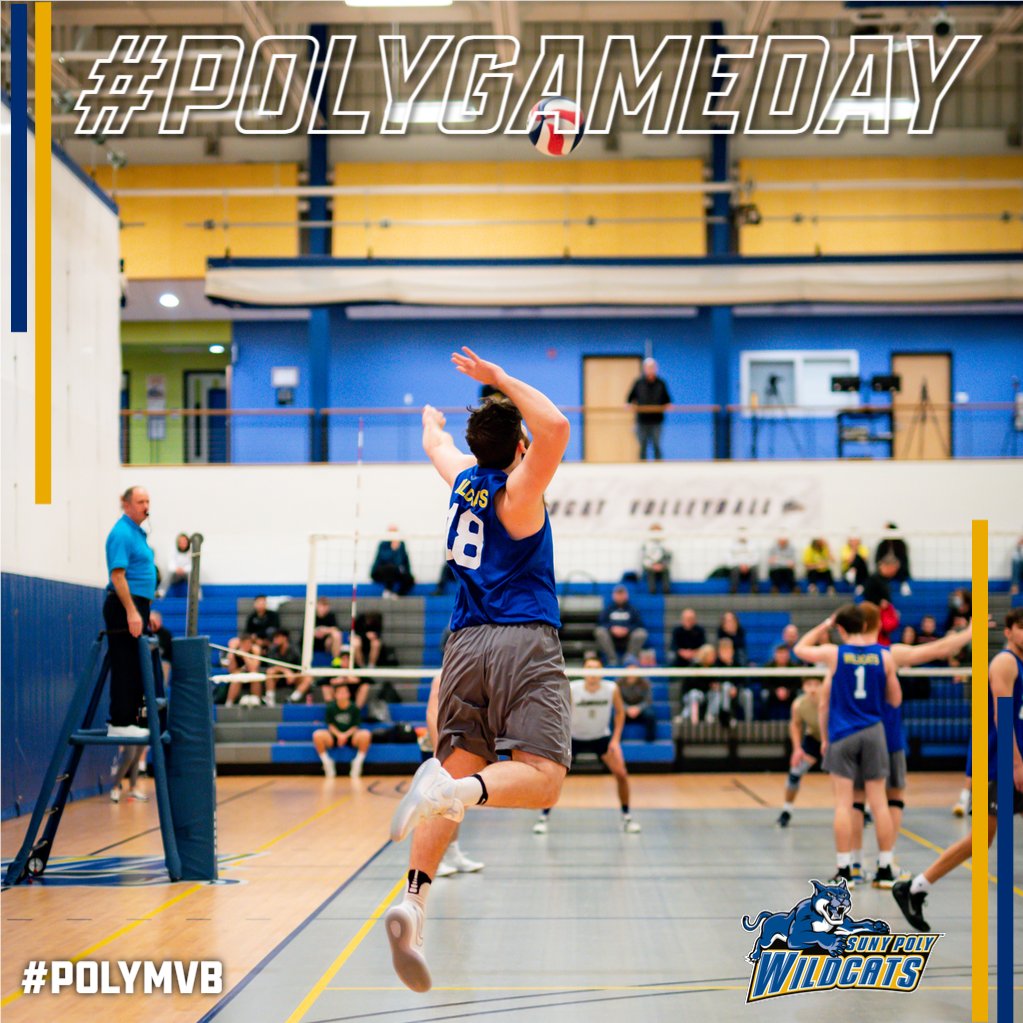 PolyWildcats's tweet photo. #PolyGameday🟡🔵🏀
Men's Volleyball hosts #8 SUNY New Paltz tonight. 
🕖 - 7:00 PM
📍 - Wildcat Field House
📺📊 - Check our schedule for live coverage links! 
#PolyMVB #d3vb https://t.co/bRGXvlD3Ne