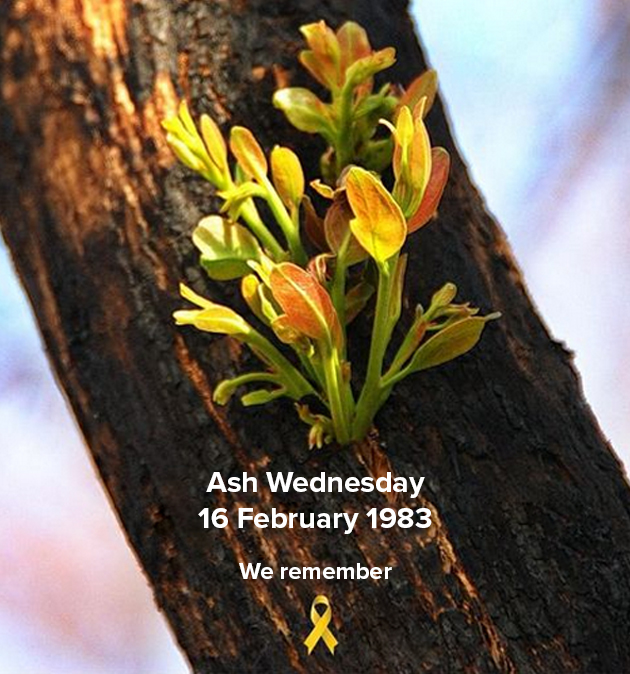 CFA_Updates's tweet photo. Today marks the 40th anniversary of the Ash Wednesday bushfires. We take time to pause and reflect on the incredible courage, strength and bravery shown by all our CFA members, their families and the community.

-----
CFA Wellbeing Support Line 1800 959 232
Lifeline 13 11 14 https://t.co/yKh0NSTPFg