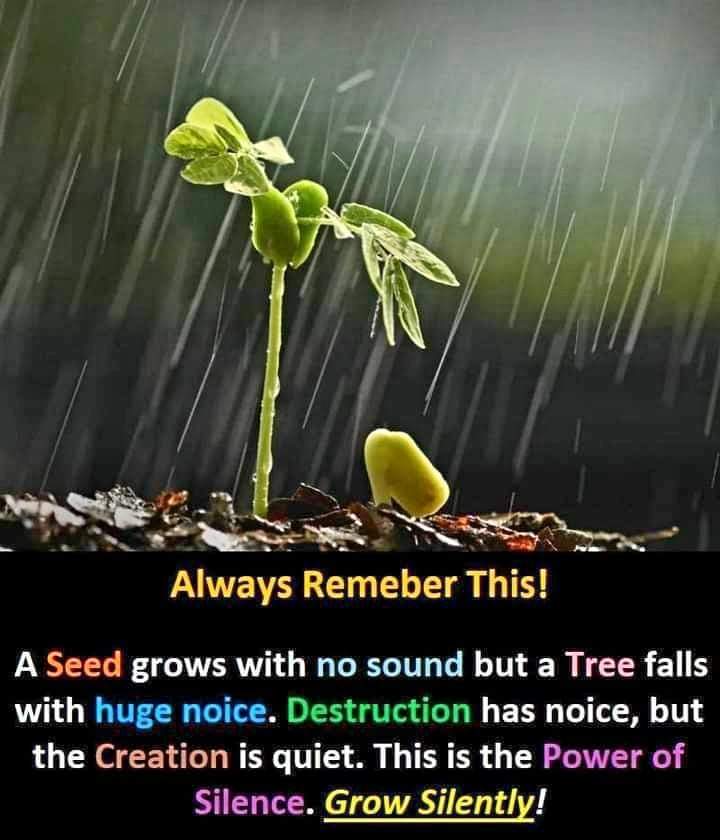 Lani Garcia (@lanigar08232273) on Twitter photo 