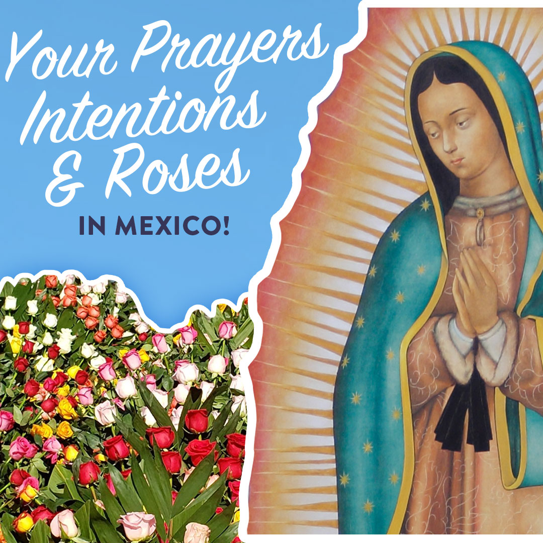 🌹Send a Rose and Your Prayer Intentions to Our Lady of #Guadalupe!🌹

Click here >> americaneedsfatima.org/intentions-to-….

#Catholic #ANF #OurLadyofGuadalupe