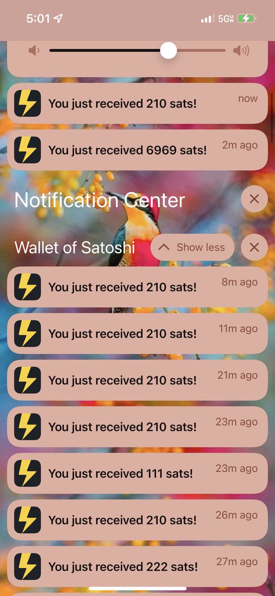 Lauren of Light ⚡️ tweet media