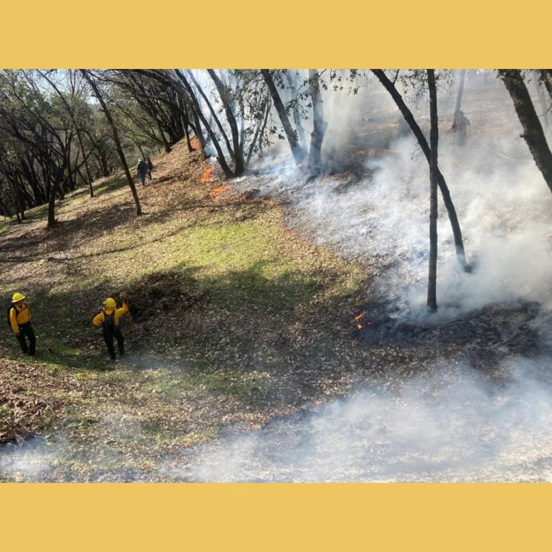 Districts Make the Difference tweet media