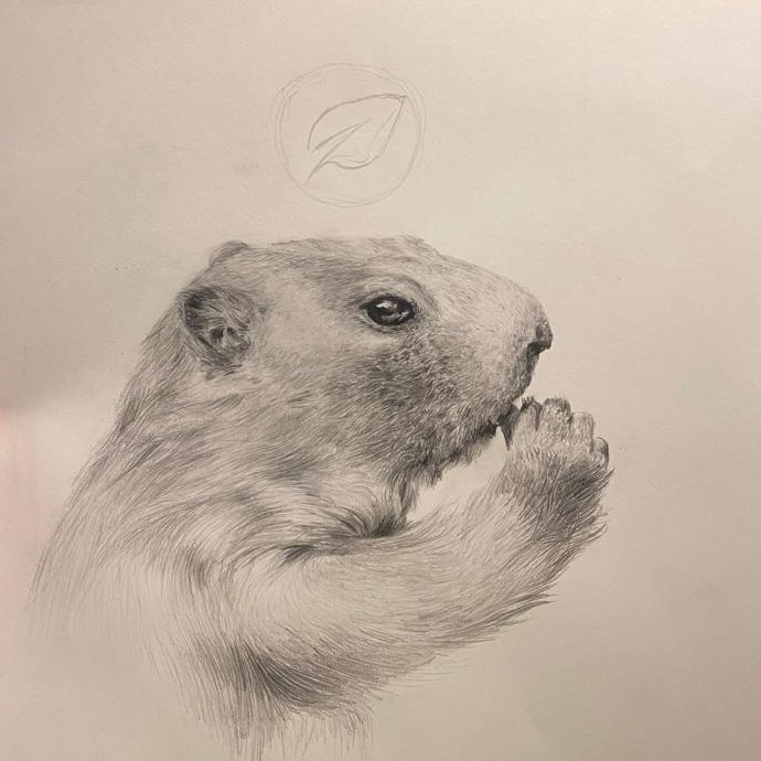 Sneak peak of whats to come 🐻