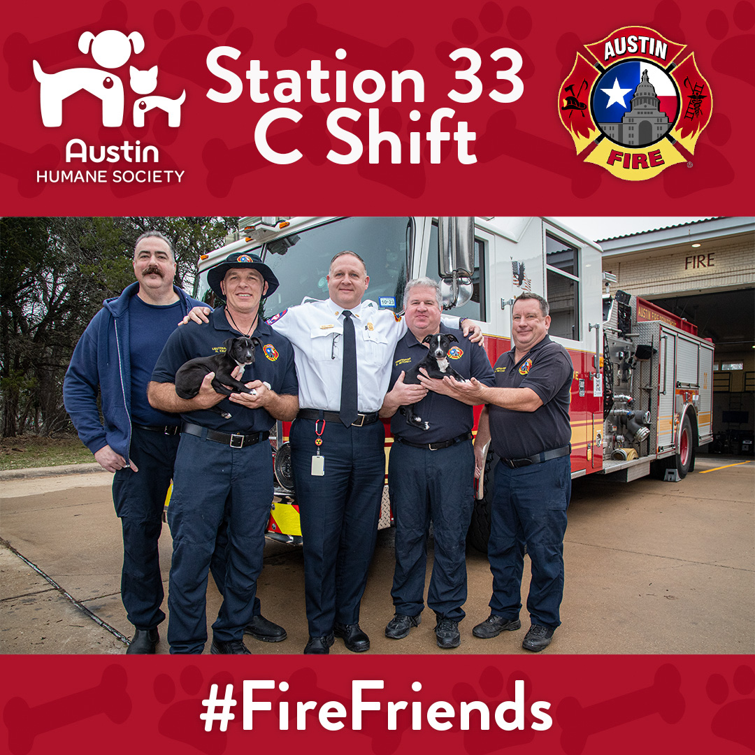 austinfiredept's tweet photo. This month’s #FireFriends are cuddly & kissable…how appropriate, since February is the month of love! Our partners, @austinhumane say two-month-old sisters Rowdy & Gumbo are fun, friendly, and ready to be adopted! https://t.co/BwBj5P9ONk
📷©AFD/Chris Wilkinson https://t.co/s3DGNUKSAE