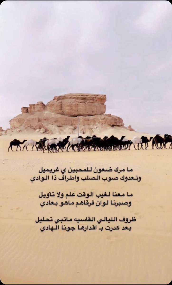 الـندِيـمْ | ٨٩ tweet media