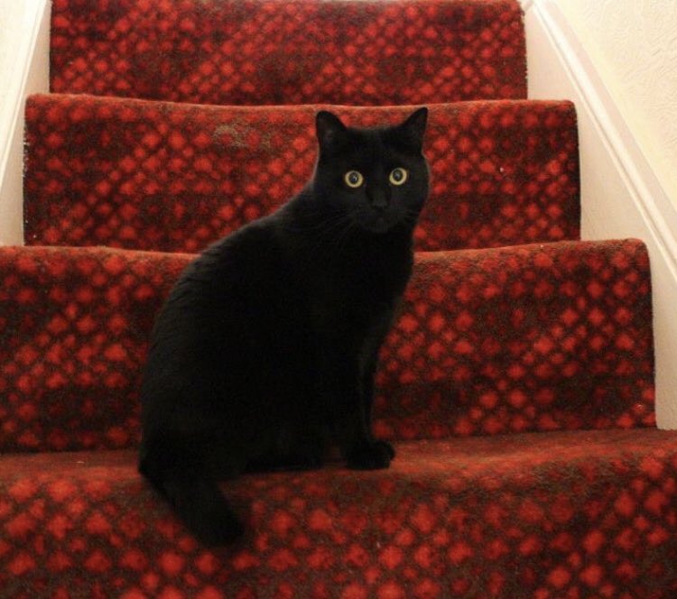 Supertanskiii tweet media