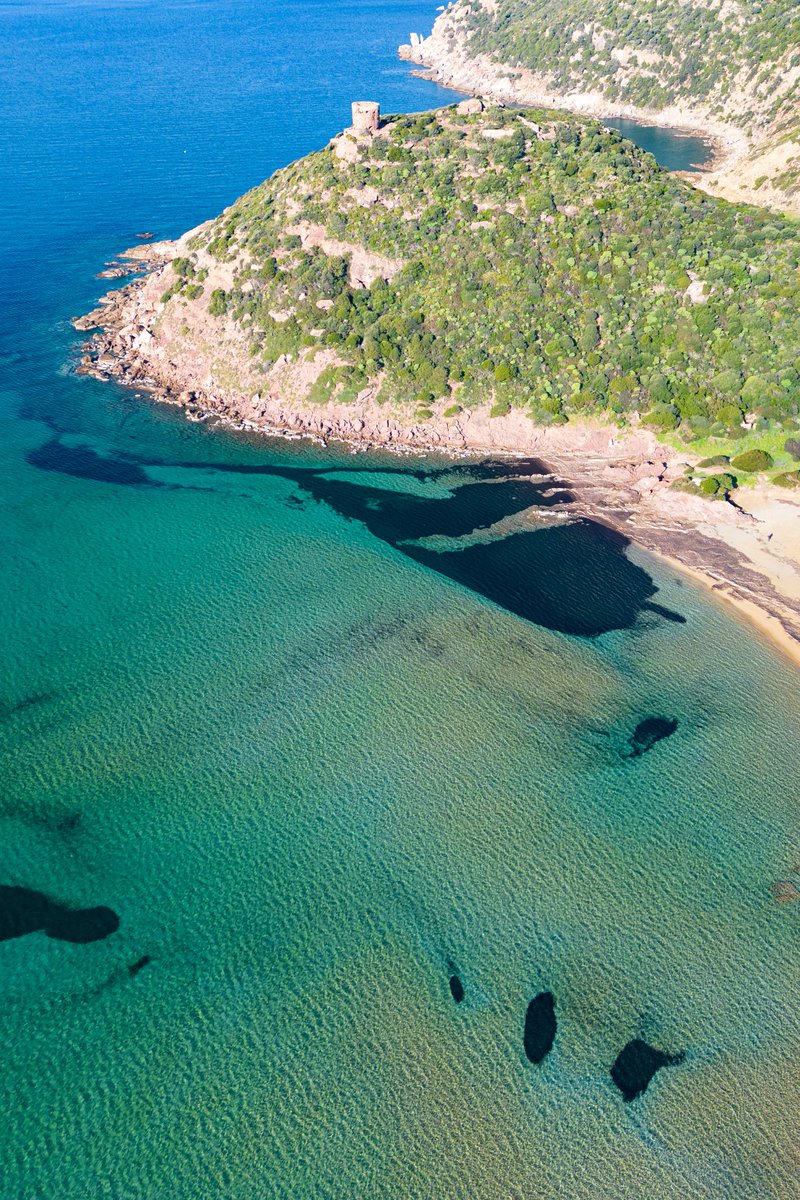 canontedde's tweet photo. Porto Ferro
Sardegna
Italy
#sardegna #alghero #portoferro #Italia #earth https://t.co/N4Z5SSqZi7