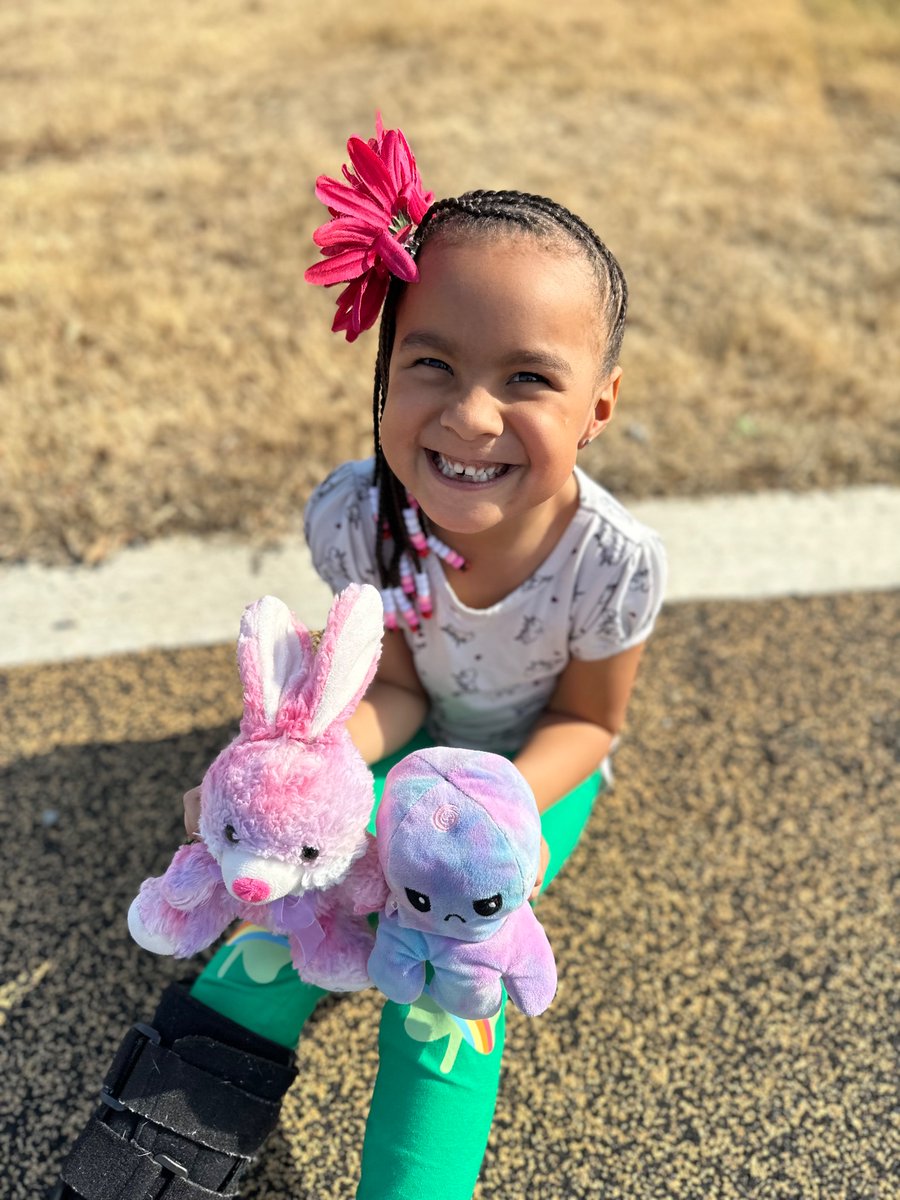 Lisl Howell tweet media