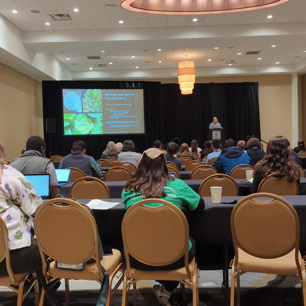 Kiersten Bushong describing her characterization of 9 Pseudomonas spp. affecting cucurbits