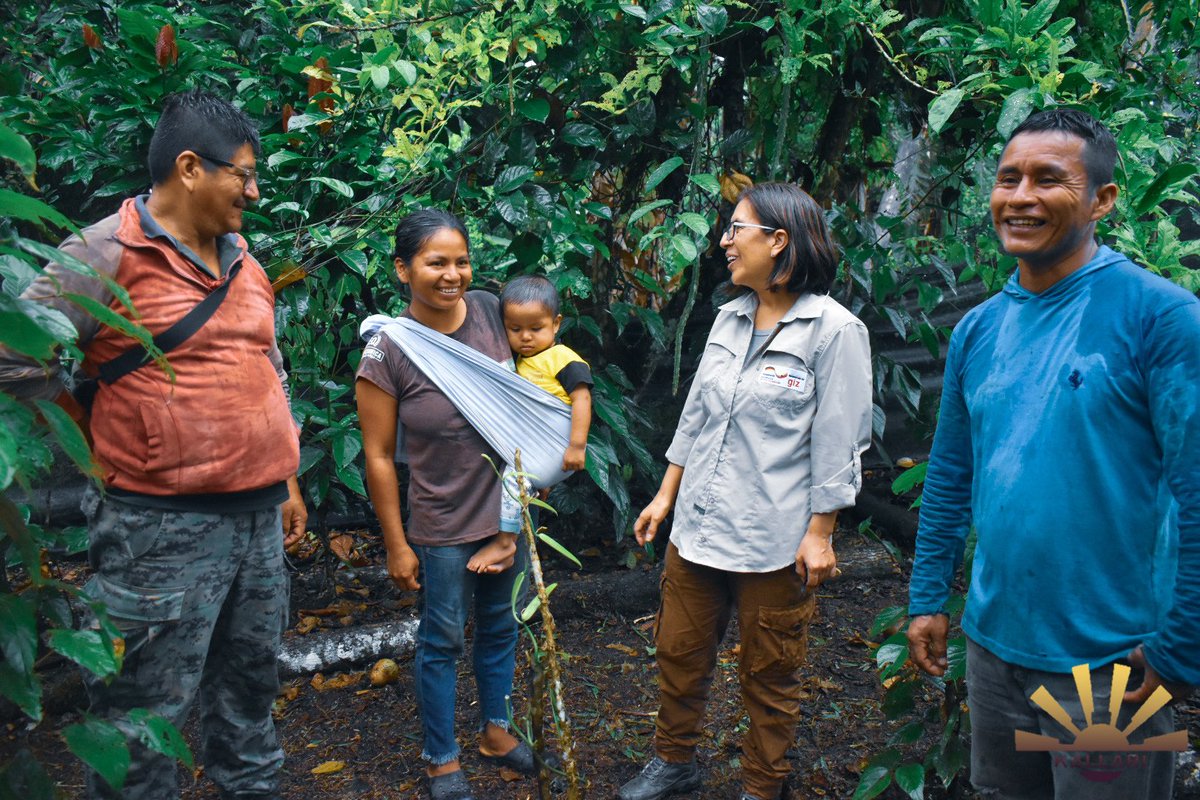 Kallari_ec's tweet photo. Se realizó la visita a las chakras de vainilla de las comunicades pertenecientes a la parroquia Talag, catón Tena, provincia de Napo.  #kallari #produccion #vainilla #chakra #producctores #BioValor #Conservación #Biodiversidad #CadenasDeValor #GIZ https://t.co/VyPSnUTnAT