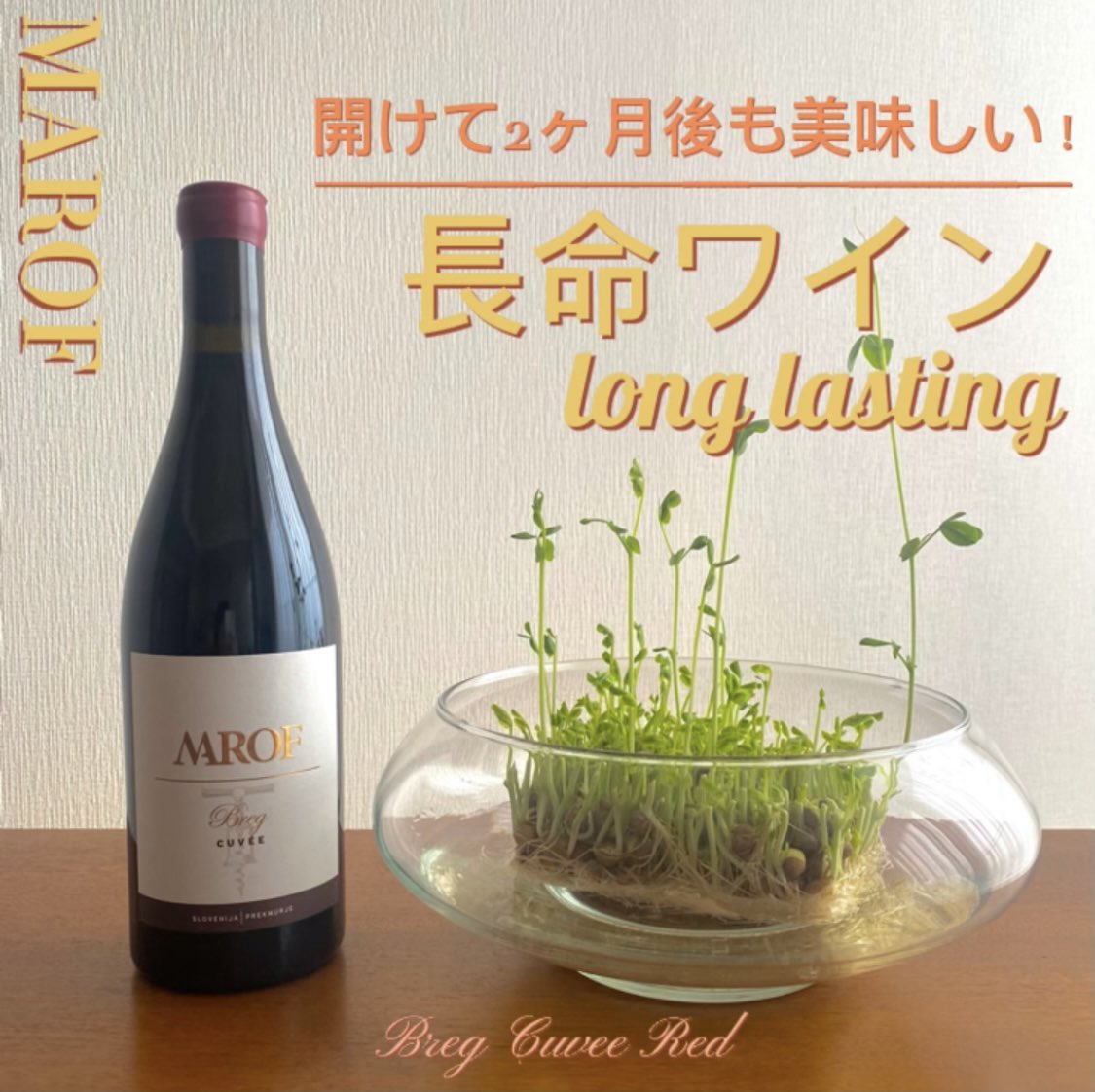 365wine1's tweet photo. #赤ワイン#スロベニアワイン#美味しいワイン
https://t.co/pn5oOEfOf6 https://t.co/dvSqVn51N3