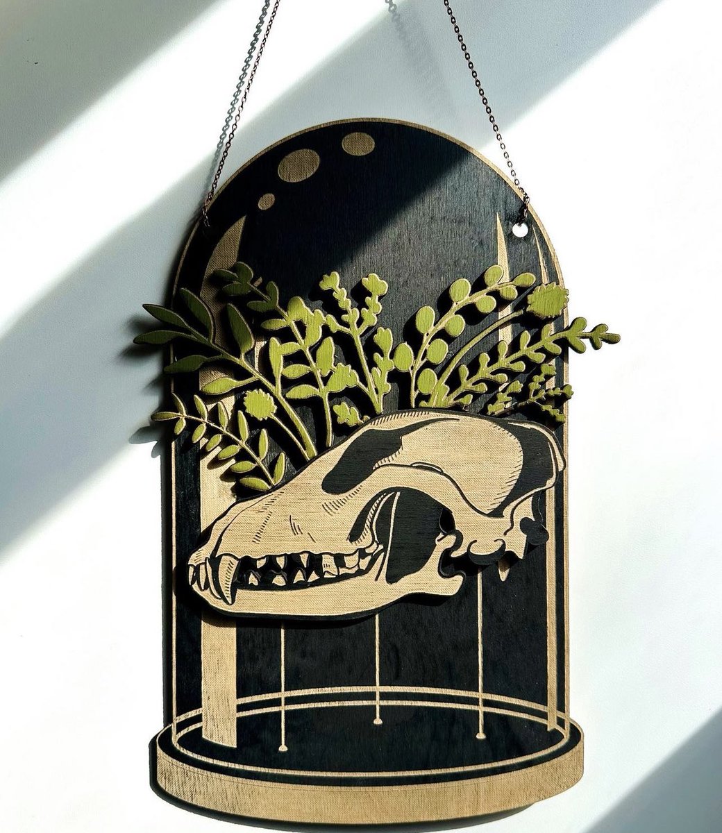 Full Spectrum Laser tweet media