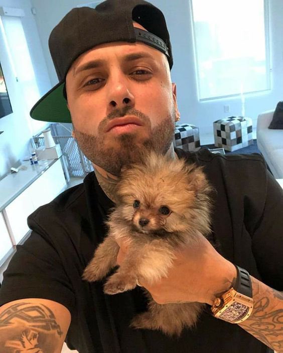 Nicky Jam tweet media