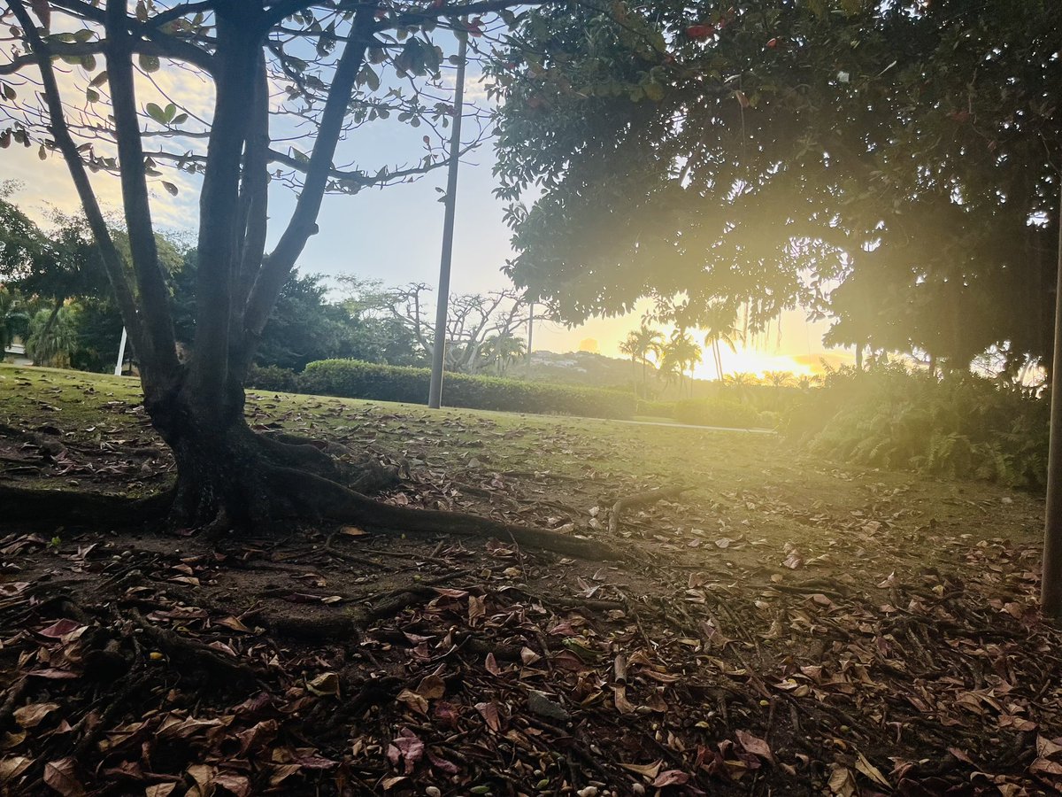 AWA_013's tweet photo. Las de hoy… #3millas #atardeceres https://t.co/CmFEiPWSuk