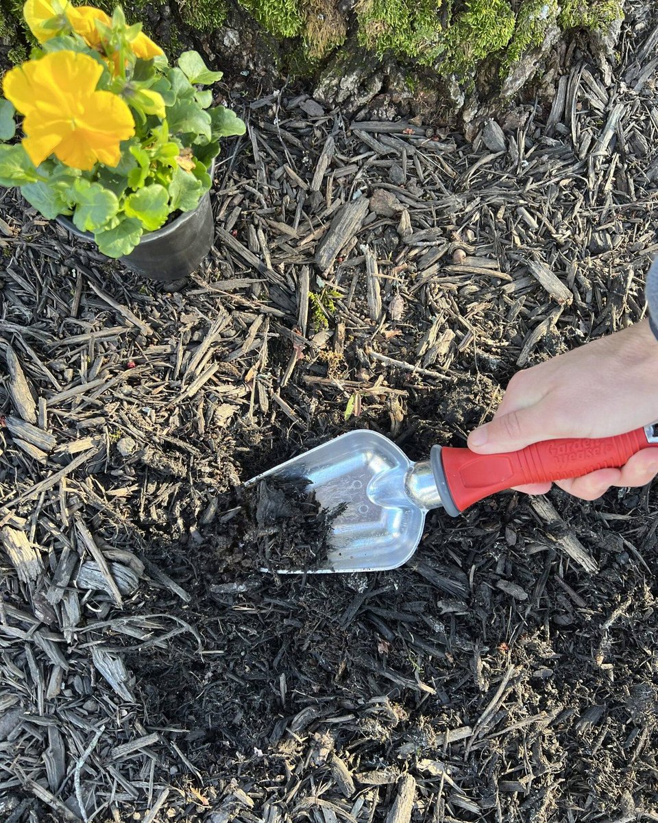 weasel_garden's tweet photo. Built to handle your toughest tasks 💪

The Garden Weasel Hand Scoop Trowel is made of AluminIron TM, making it rust-resistant and lightweight for more durability and control 💯

https://t.co/uSENYP7Hqv https://t.co/e624gmIksG