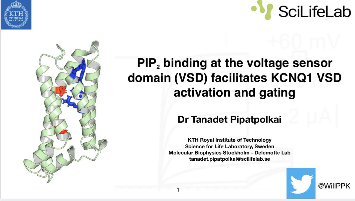 WillPPK's tweet photo. BPS folks! I’ll be presenting my postdoc work in @DelemotteLab at the #bps2023 San Diego. 4pm, Sunday 19th Feb. Protein-lipid interactions 6D. Please come and listen! Another PIP2 talk! #kcnq1 #pip2 https://t.co/ivr8KFG9Yh