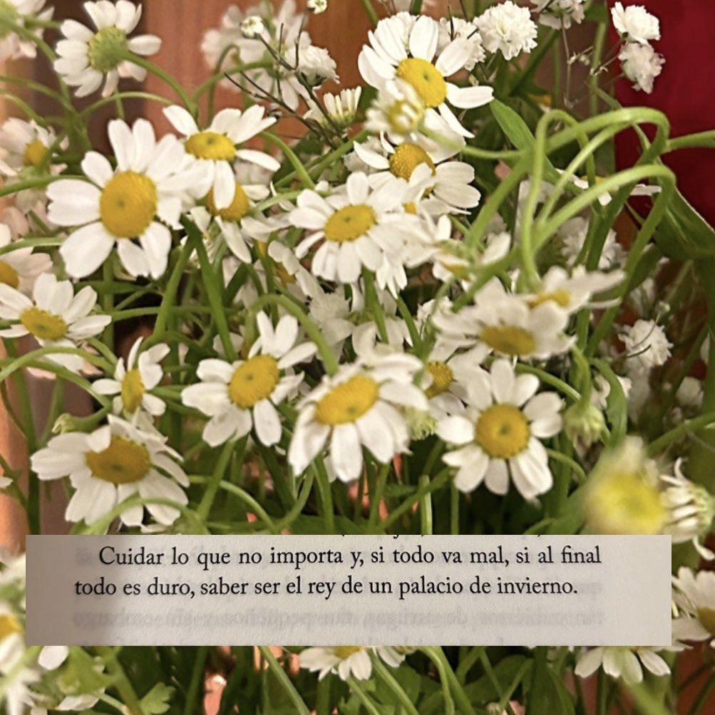 josebarbado's tweet photo. 🌱 https://t.co/xctmP27gyC