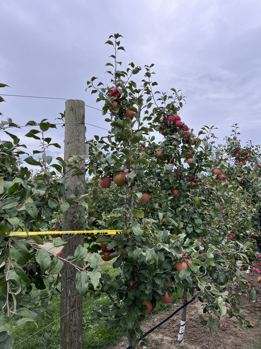 Celebrating #CdnAgDay with a pretty great crew! Cheers to the food and ag industry🌱