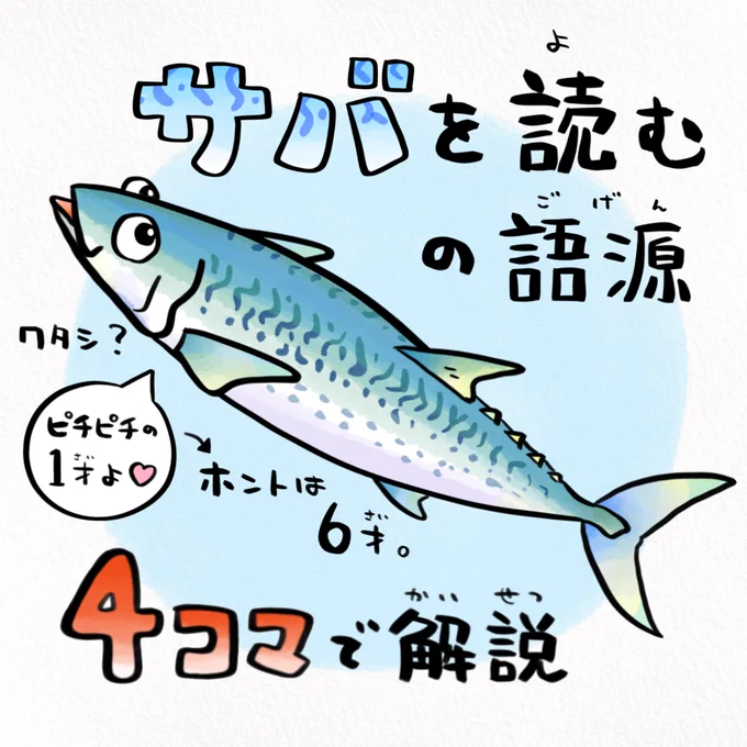 サバ缶ショック、サバを読むの語源はサバが痛みやすかったから 