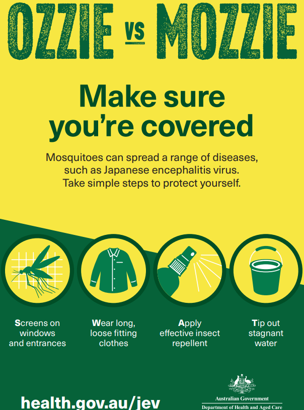 This summer the mozzies are biting! Mosquitos carry a range of viruses including Japanese encephalitis virus (JEV), and you can take steps to avoid catching it. Learn more at: bit.ly/3JvdaSX