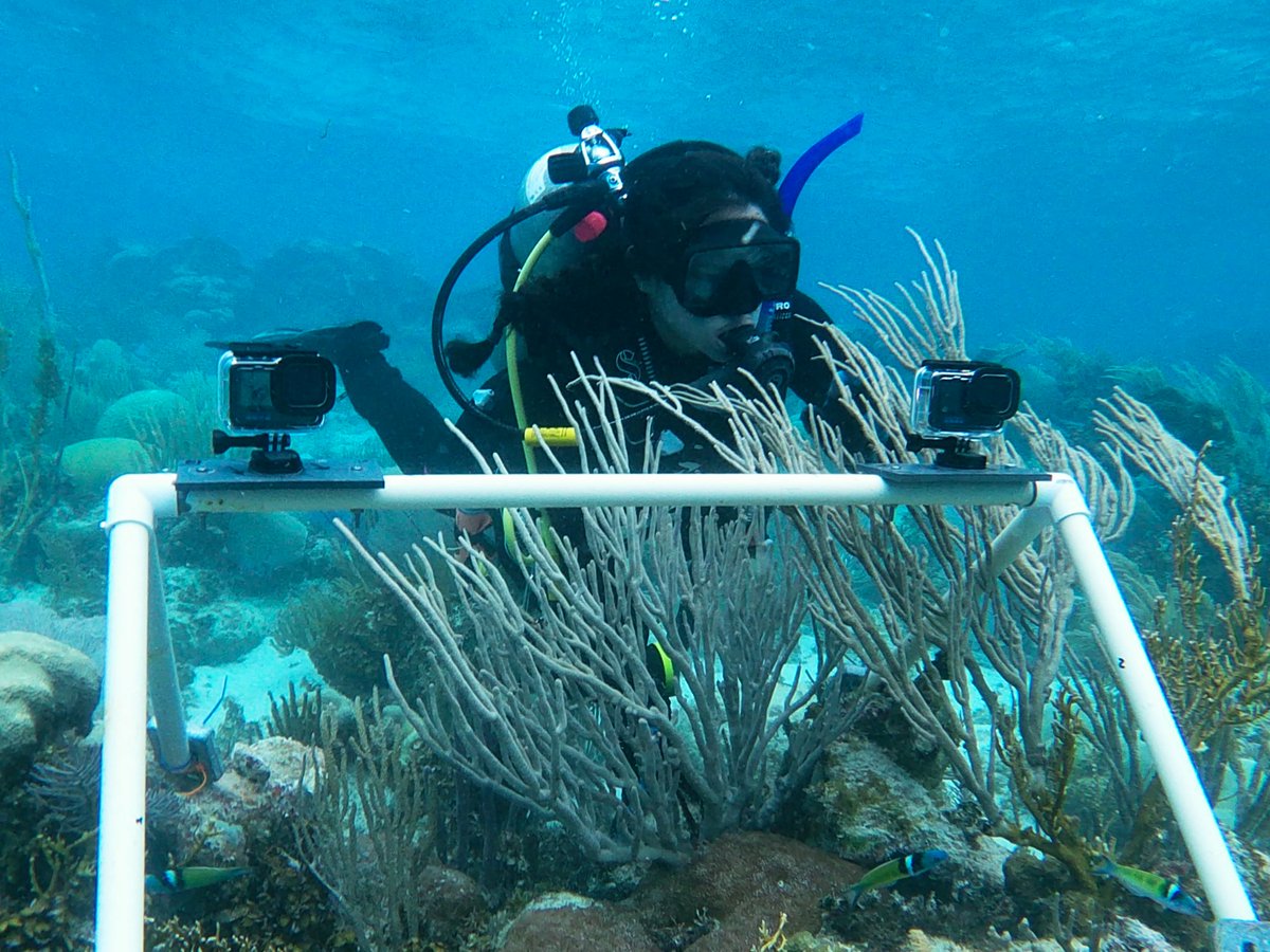 Mariana R.-Higueras (@higuerima_fish) on Twitter photo If someone looks at you, as <a href="/CipollaKyra/">Kyra Jean Cipolla</a> looks at her stereo videos, keep that person in your life.
Learning new techniques from my best friend 💕🐠 If someone looks at you, as <a href="/CipollaKyra/">Kyra Jean Cipolla</a> looks at her stereo videos, keep that person in your life.
Learning new techniques from my best friend 💕🐠