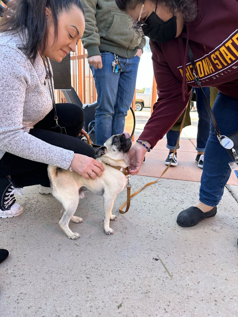 IntuitAccts's tweet image. Today, we got to live out our value of We Care &amp;amp; Give Back. Intuit purchased $1M-worth of items from small businesses &amp;amp; more than 10K employees in all 17 of our offices across the globe came together to package and deliver these products to various non-profits. #SmallBizBigImpact