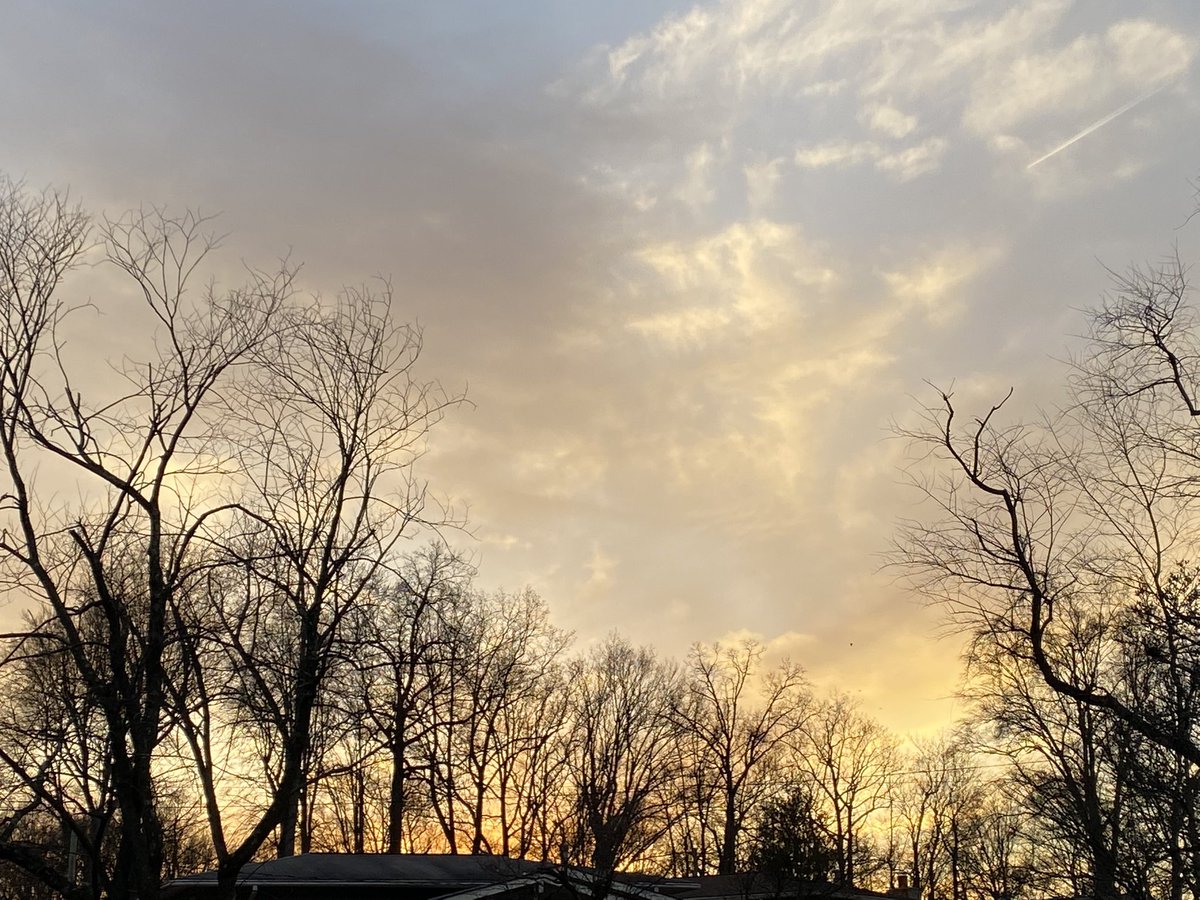 ElanaMintz202's tweet image. The magic of #trees is year-round. Don’t wait til spring to get outside and explore! Every tree is an ecosystem that contains at least 5 lesson plans. 
@UrbanAdvSquad #ThisIsOutdoorLearning 
#GoldenHour #Trees #LookUp