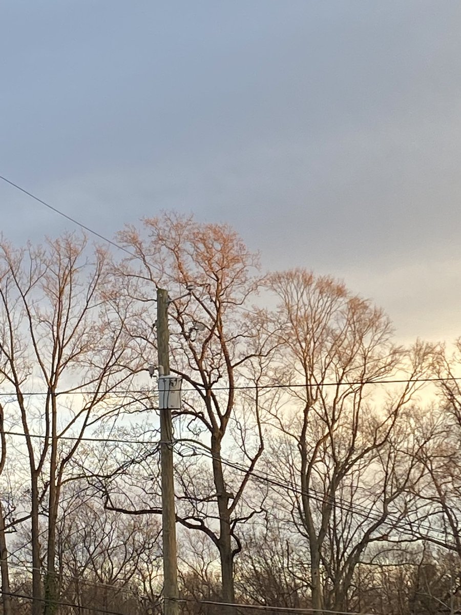 ElanaMintz202's tweet image. The magic of #trees is year-round. Don’t wait til spring to get outside and explore! Every tree is an ecosystem that contains at least 5 lesson plans. 
@UrbanAdvSquad #ThisIsOutdoorLearning 
#GoldenHour #Trees #LookUp
