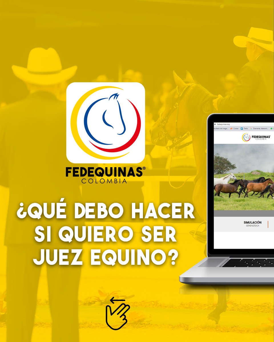 FedequinasOrg's tweet image. ¿Qué debo hacer si quiero ser Juez Equino? - Desliza para conocer más información.

¡Fedequinas más cerca de todos!

#Fedequinas #Procedimientos #Gremio #ccc #Colombia