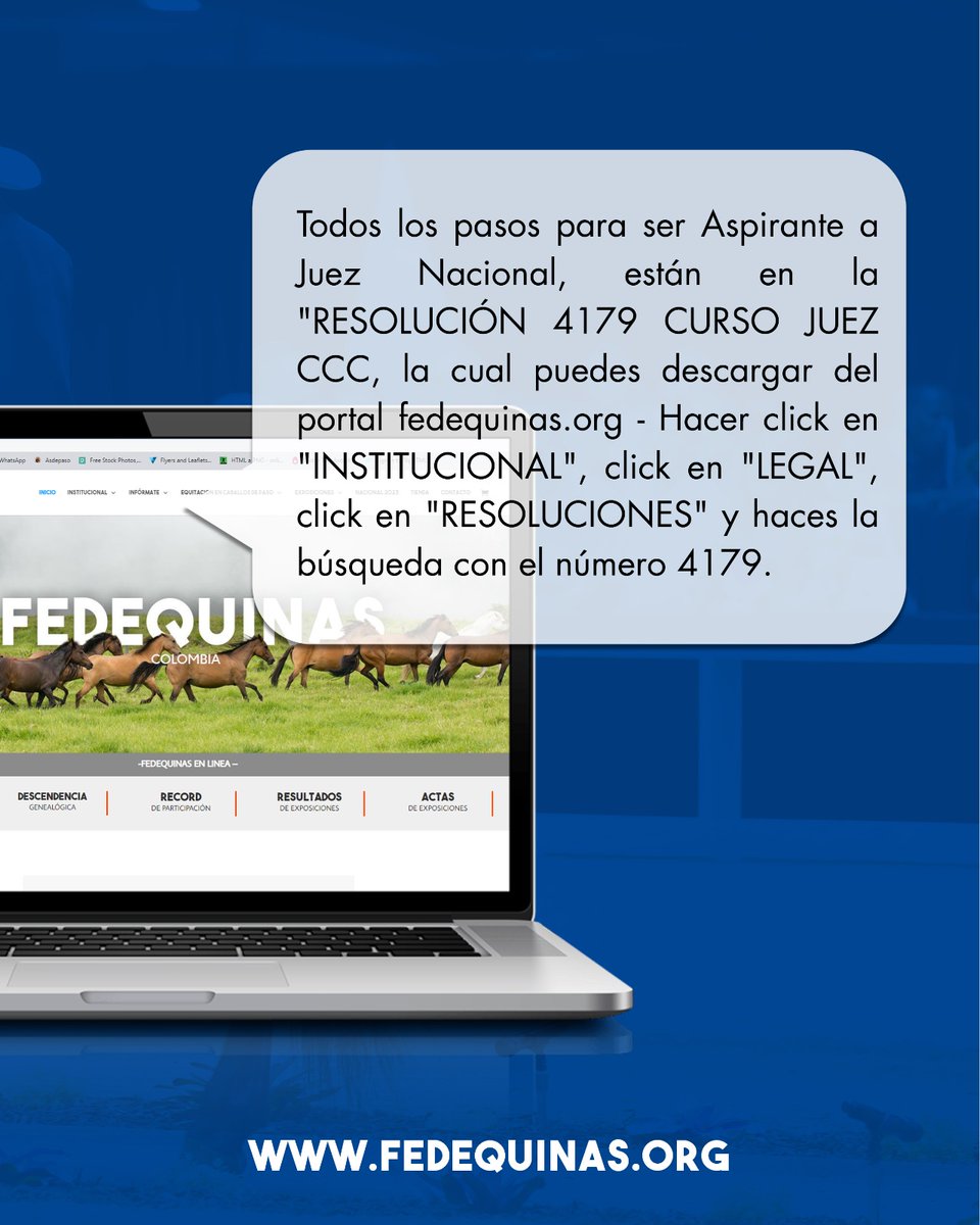 FedequinasOrg's tweet image. ¿Qué debo hacer si quiero ser Juez Equino? - Desliza para conocer más información.

¡Fedequinas más cerca de todos!

#Fedequinas #Procedimientos #Gremio #ccc #Colombia
