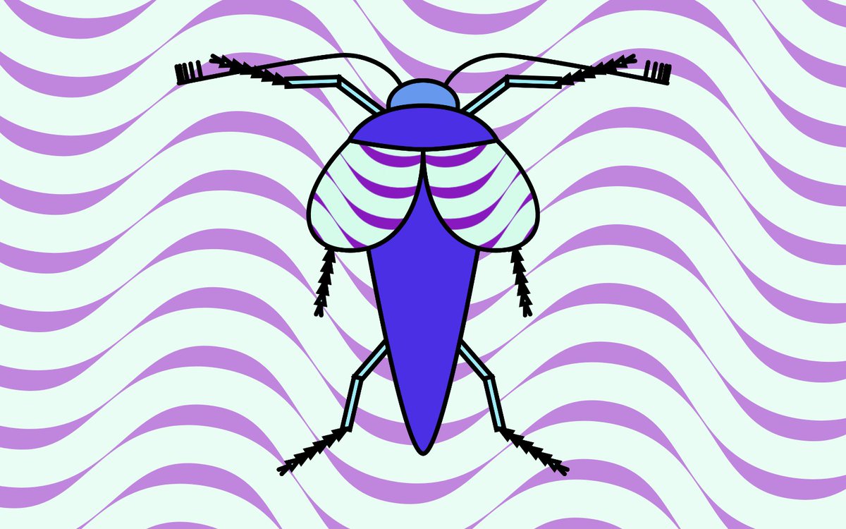 Short-Winged, Purple Heart-Colored Null Beetle - Permalink: https://t.co/NIdNjf8Vdw https://t.co/FAYsqfnATz