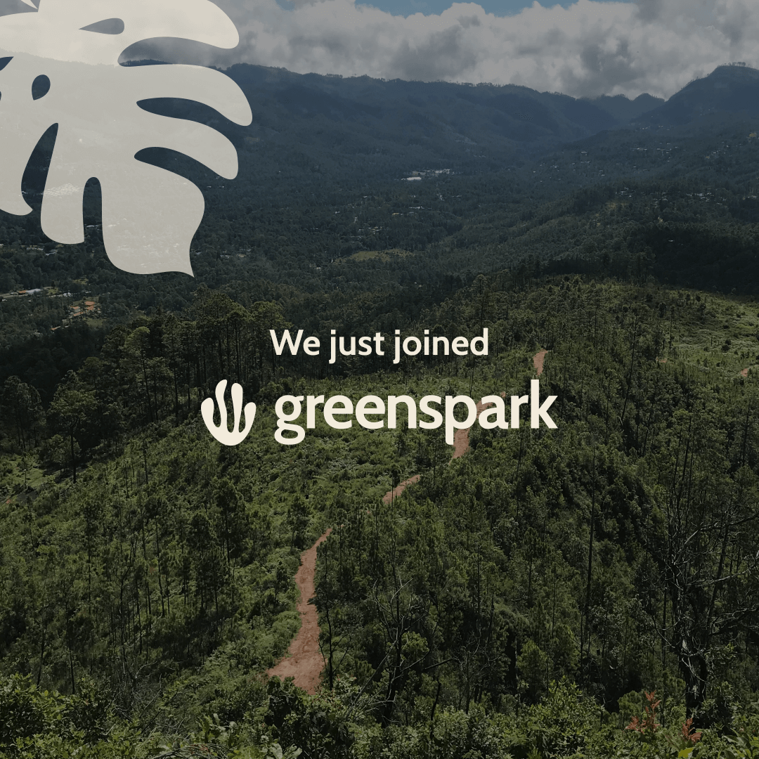 East_Imperial's tweet photo. We've joined forces with #Greenspark, an organisation dedicated to creating a positive impact on the planet.
With every case sold on https://t.co/26U2vBHwgT we now plant one tree, furthering our commitment to sustainability.
Find out more at: https://t.co/ylrh53WcgQ https://t.co/02HjvqY8be