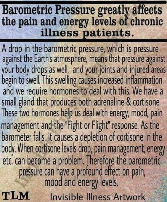 fibromyalgiast1 tweet picture