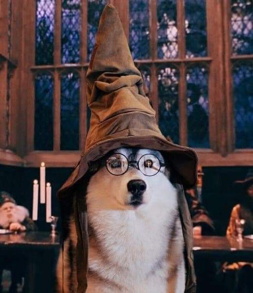 Slytherin will help you... No? Well, if you’re sure... better be ..... GryffinDOG!