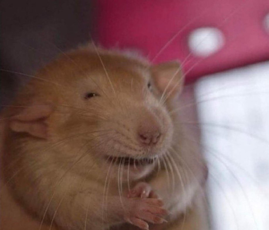 tolxhz's tweet photo. little do you guys know im corn on a alt https://t.co/3qk5i2Z7rl