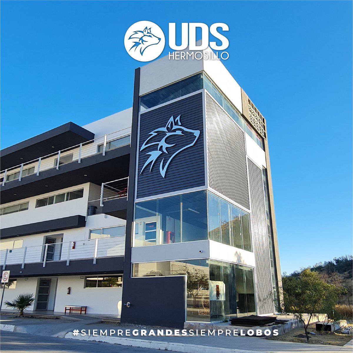 UDS_Hermosillo's tweet photo. ¡No te quedes fuera! 🐺

Aprovecha nuestra promoción ¡paga $500.00 y ya quedas inscrito en la Licenciatura ideal para ti! 🤓

*Alumnos de Primer Ingreso*
*NO aplica para Medicina Escolarizada*

#SiempreGrandes #SiempreLobos https://t.co/KiTljtL1dv