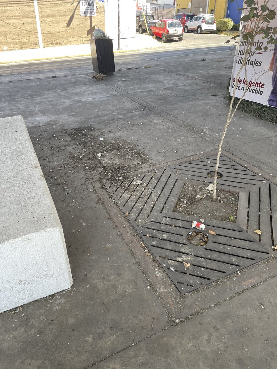 erheto's tweet photo. @JCarlos_Valerio Que @eduardorivera01 también atienda eso, los puentes los tienen hecho un asco, para que gastar en la campaña tonta de pintar semáforos de color negro? No saben que inventar mejor limpien los puentes además de sucios lucen inseguros con tal aspecto‼️ https://t.co/JusFtYIcar