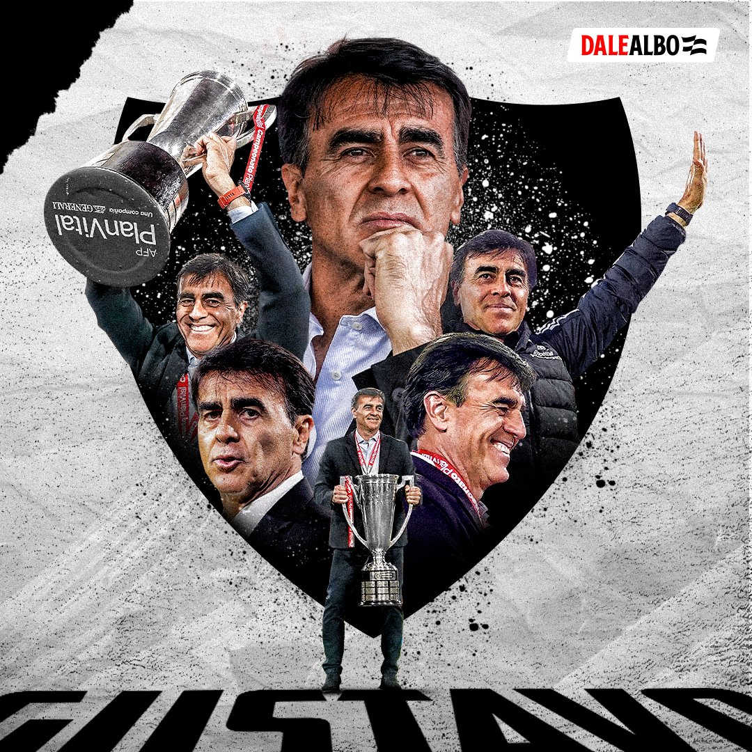 DaleAlbo tweet media