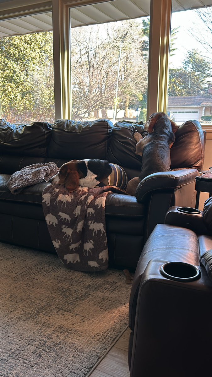 Rock’n the stripes while <a href="/LazyLazyBosley/">Bosley B</a> takes watch