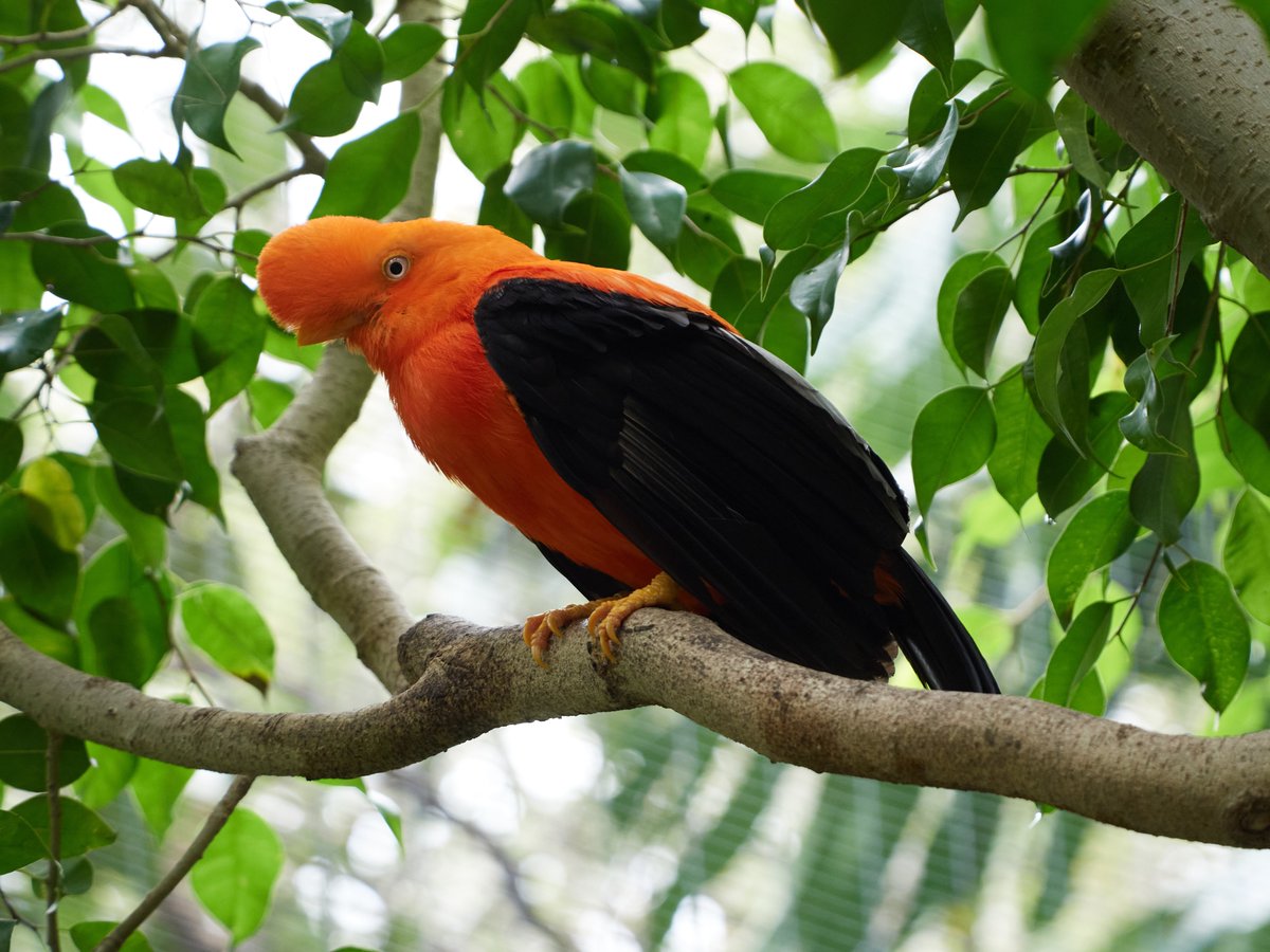 Sam Gerstein tweet media