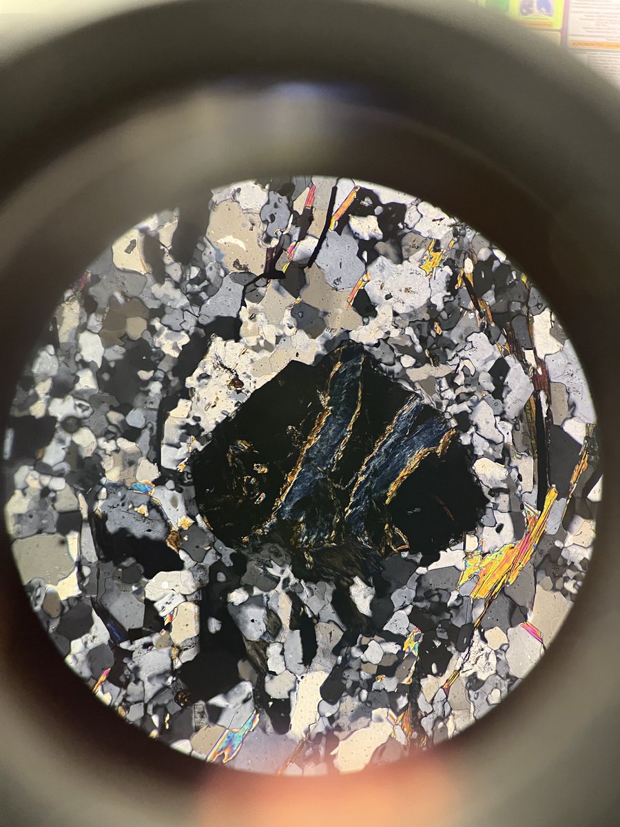 Rivers of chlorite through this garnet for #ThinSectionThursday