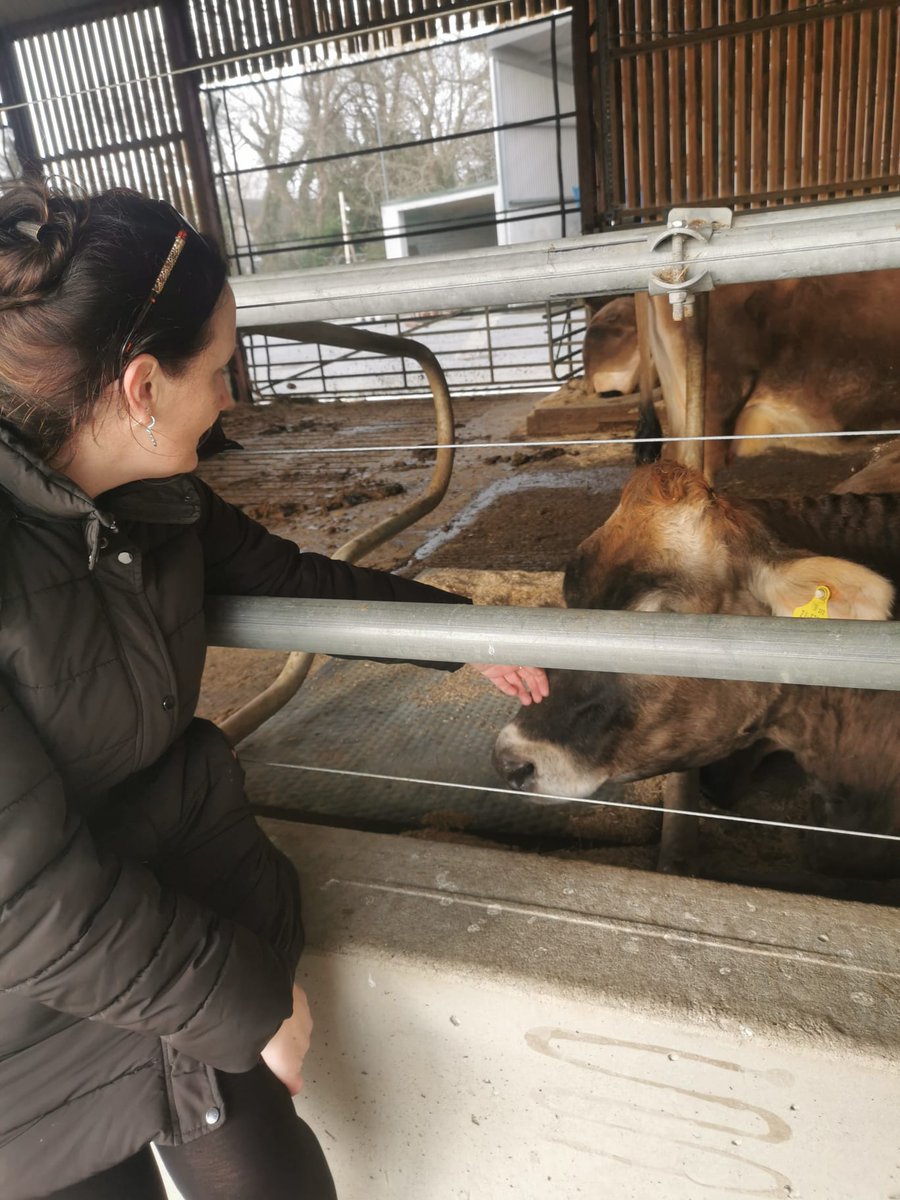 Got a lot of healing from these little creatures today <a href="/AirfieldEstate/">Airfield Estate</a> #100daysofwalking <a href="/NatureRTE/">Mooney Goes Wild</a> Also got interviewed by <a href="/NewstalkFM/">NewstalkFM</a> about the environment for the <a href="/PatKennyNT/">Pat Kenny Newstalk</a> show. <a href="/NTBreakfast/">Newstalk Breakfast</a> #savetheplanet 🐦 🐸 🐮 ♥