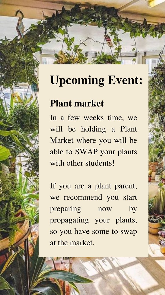 Prep works starts now! Our annual Plant Market with <a href="/tcdbotsoc/">TCD Botanical Society</a> is coming up soon!