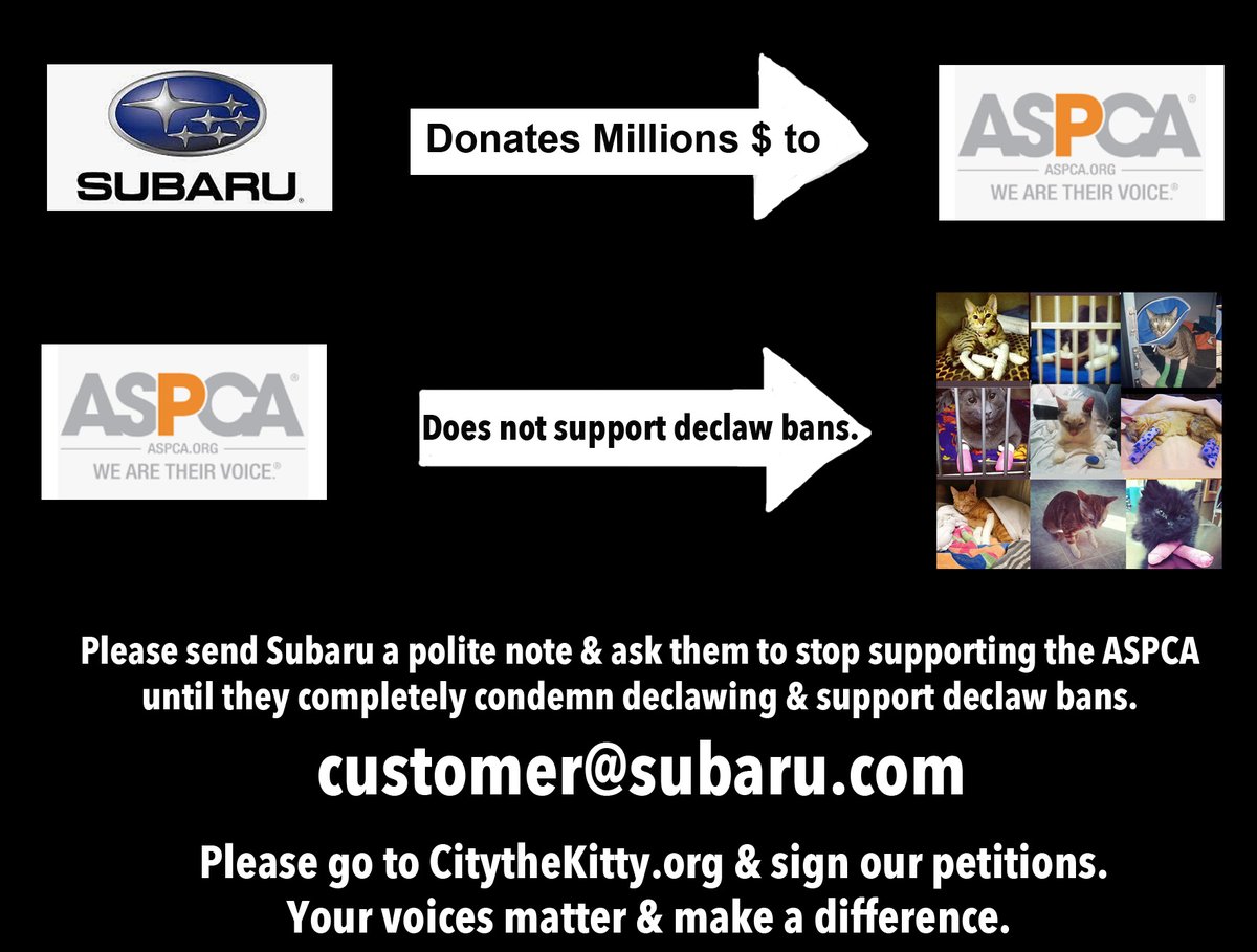 City_the_kitty's tweet photo. The @ASPCA ultimately condones declawing & is helping declawing vet$ make money from this cruelty. Ask @subaru_usa to stop donating to the #ASPCA https://t.co/HAfAMfxxR7 #shopwithyourheart #stopdeclawing #CatsOfTwitter #cats #cat #aspca #subiepup #subarulovespets #makeadogsday https://t.co/AmDUfHLKxW