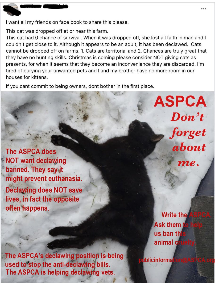 City_the_kitty's tweet photo. Does @subaru_usa like #cats? #Subaru stop donating to the #ASPCA until they help us ban this #AnimalCruelty https://t.co/HAfAMfxxR7 #shopwithyourheart #stopdeclawing #CatsOfTwitter #cat #aspca #subiepup #subarulovespets #makeadogsday #Subarusharethelove https://t.co/Na54TDOEuz