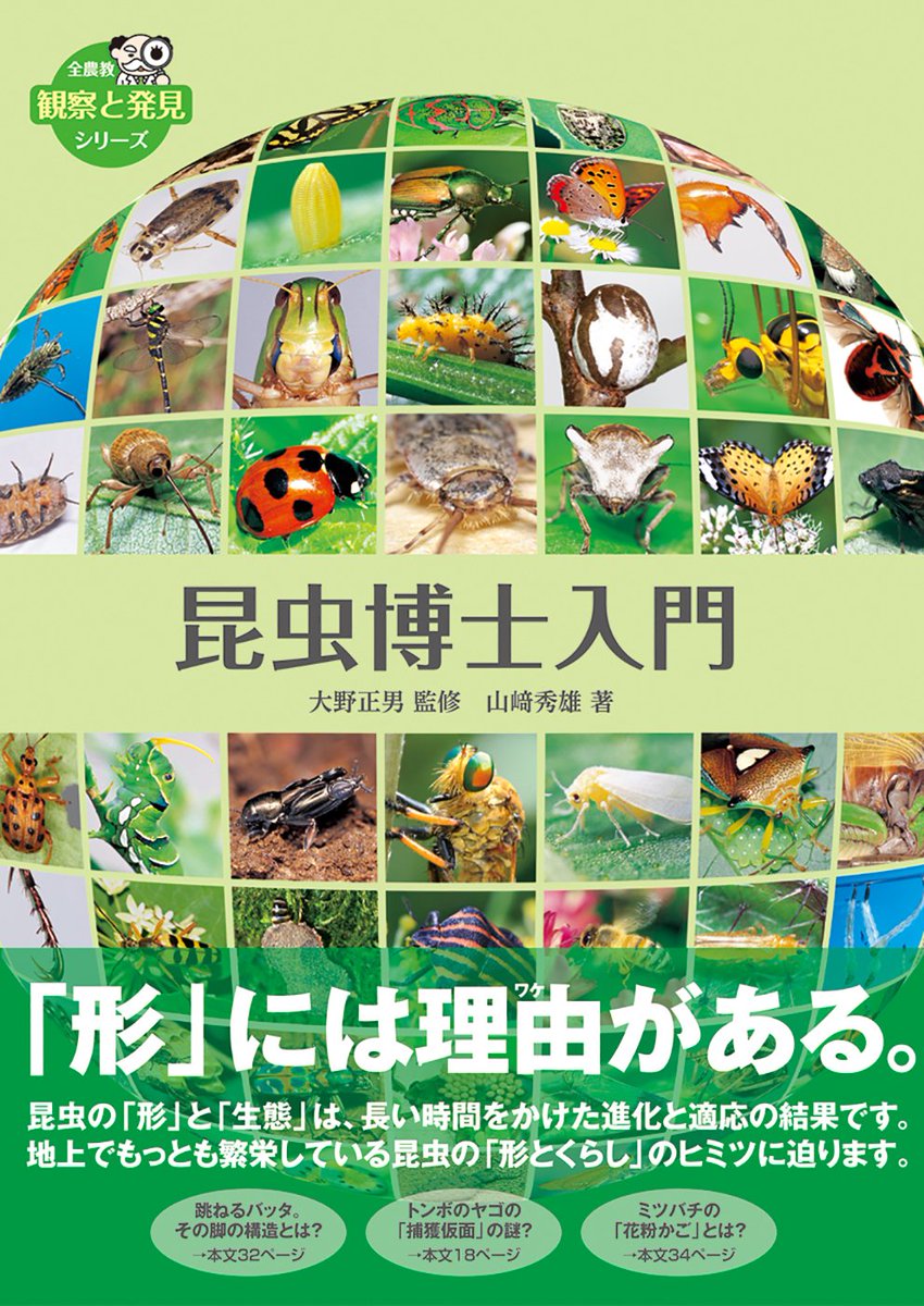 ZENNOKYO's tweet photo. [昆虫博士入門]
●従来の昆虫図鑑とはまったく違ったユニークな切り口で、広く昆虫界全体を見渡すとともに、多様な生態を表現し、ミクロの視点で細部の構造を解き明かします。
●身近な昆虫のすべてが分かる、平易かつ本格的な観察図鑑です。
https://t.co/oe9lXnPirk

#昆虫　#虫 https://t.co/fZYNvAfOz7