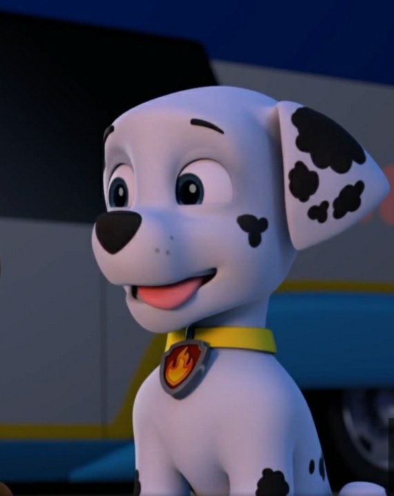 MarshallTheFans's tweet photo. Good morning Paw Patrol! Marshall loves and appreciates all of you🐾❤️🔥✨
Marshall wants a yummy🥺❤️😋
#PAWPatrol #goodmorning #PawPatrolMarshall #MarshallFan #LovePawPatrol #MarshallFirePup #MarshallCute #PawPatrolFandom #MarshallDalmatian #LoveMarshall #PawPatrolTheBest https://t.co/JLSKHywJry