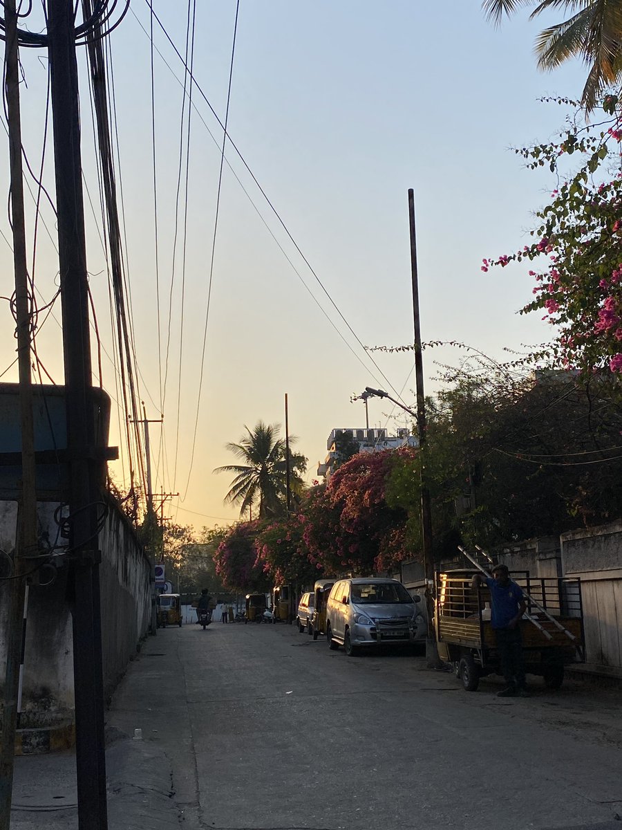 therealmisbruh's tweet photo. Spring has officially hit Hyderabad 😍 https://t.co/jXFF3dxP7s