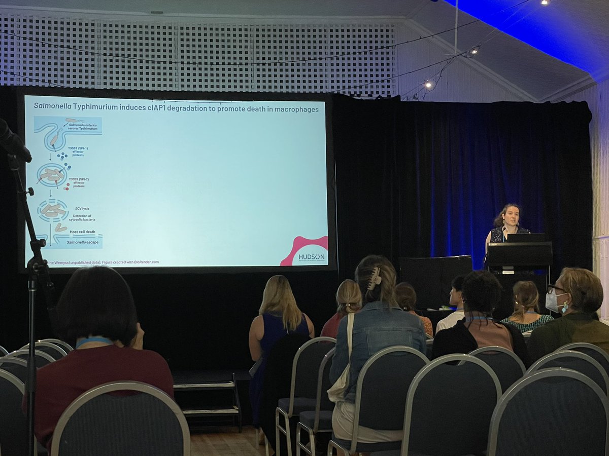 Sarah Garnish (@sarahgarnish) on Twitter photo Great to see fellow <a href="/AusCellDeathSoc/">Australasian Cell Death Society</a>  committee member <a href="/MaddieWemyss/">Maddie Wemyss</a> presenting her work on Salmonella and cIAPs at #LorneIandI Great to see fellow <a href="/AusCellDeathSoc/">Australasian Cell Death Society</a>  committee member <a href="/MaddieWemyss/">Maddie Wemyss</a> presenting her work on Salmonella and cIAPs at #LorneIandI