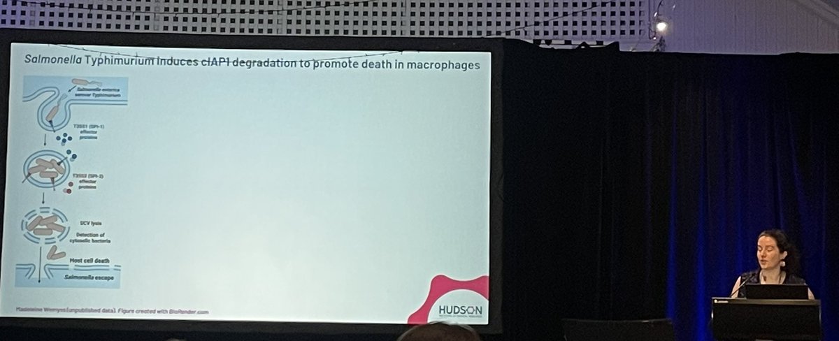 Nur Sarah Rosli (@sarah_rosli_) on Twitter photo Science Bites I by <a href="/MaddieWemyss/">Maddie Wemyss</a> from <a href="/PearsonLab22/">PearsonLab</a> <a href="/Hudson_Research/">Hudson Institute of Medical Research</a> <a href="/CiiiD_Hudson/">CiiiD Hudson</a> on Salmonella Typhimurium and cell death of macrophages. #lorneiandi <a href="/The_VIIN/">VIIN</a> Science Bites I by <a href="/MaddieWemyss/">Maddie Wemyss</a> from <a href="/PearsonLab22/">PearsonLab</a> <a href="/Hudson_Research/">Hudson Institute of Medical Research</a> <a href="/CiiiD_Hudson/">CiiiD Hudson</a> on Salmonella Typhimurium and cell death of macrophages. #lorneiandi <a href="/The_VIIN/">VIIN</a>
